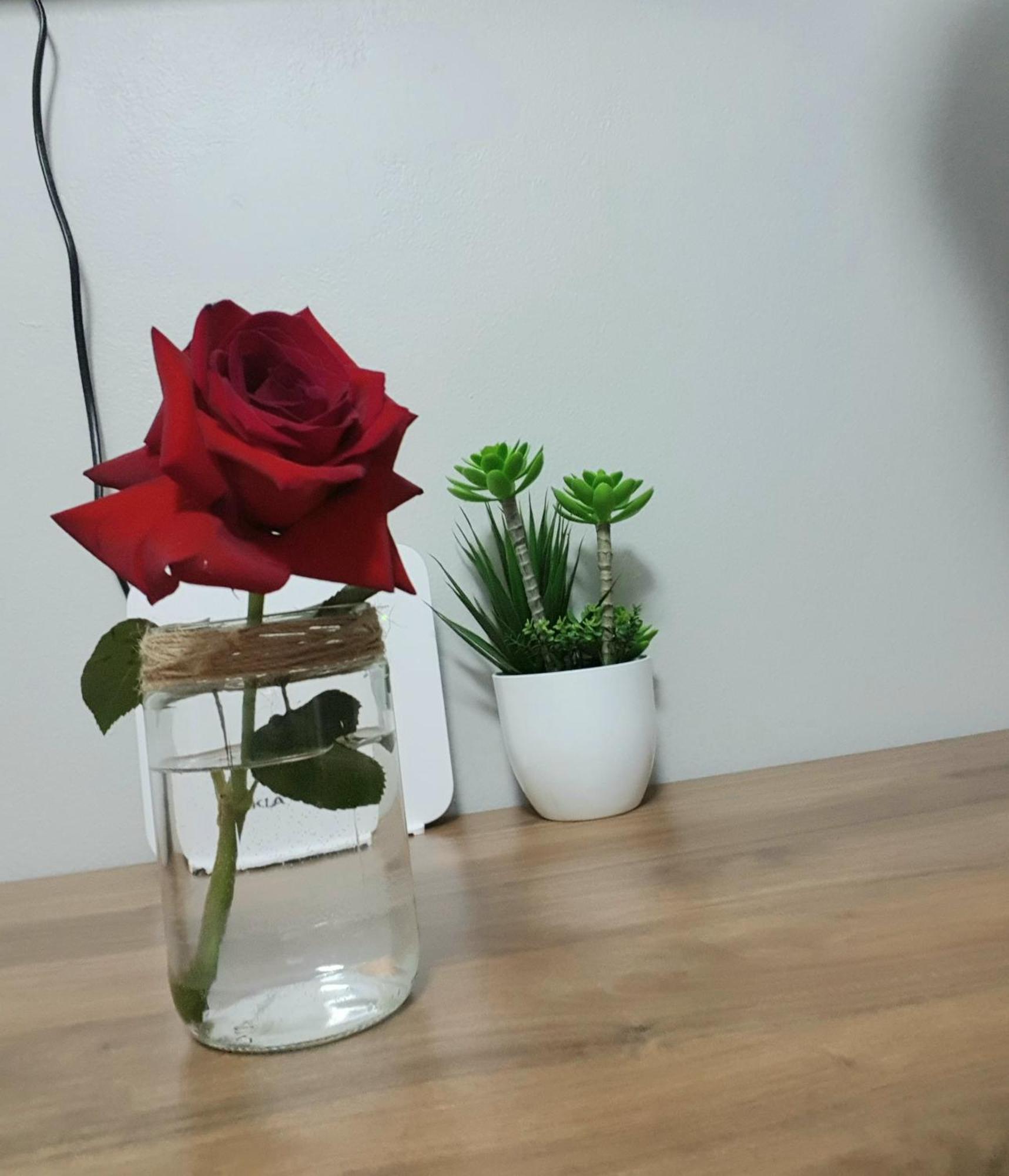 Nevila'S Apartment 티라나 외부 사진